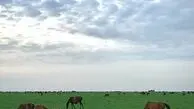 دو جای زیبا و دیدنی