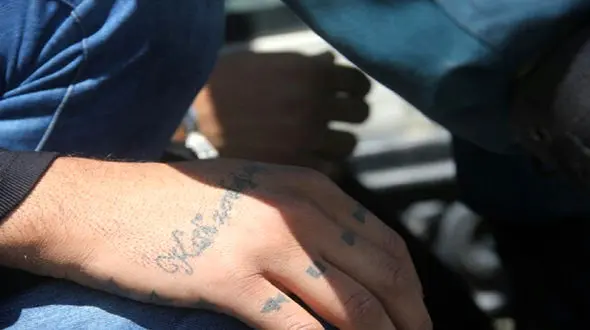 پایان عربده کشی شرور منطقه گلشهر کرج