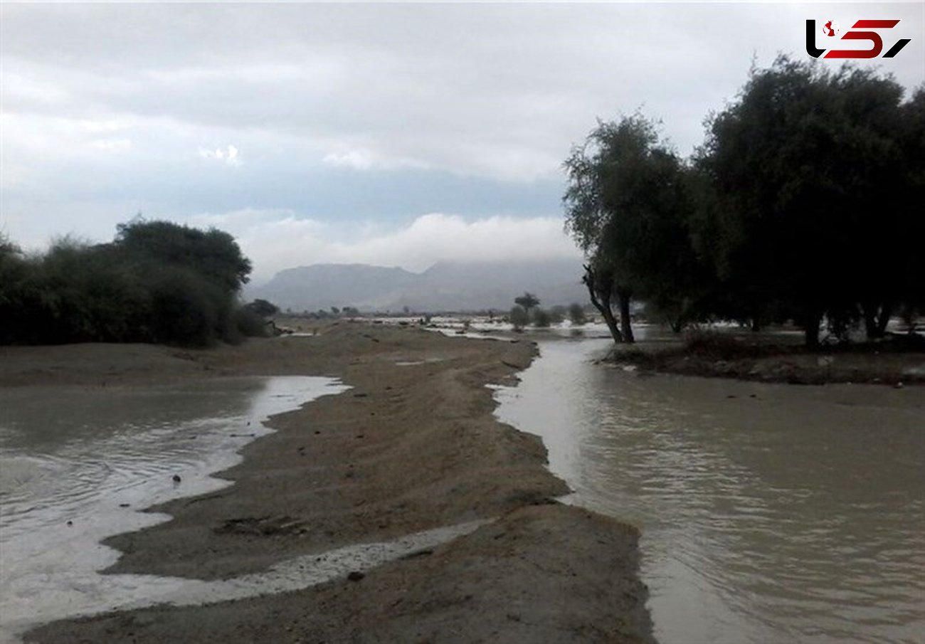  تخریب‌کنندگان رودخانه‌ها در گیلان مورد پیگرد قانونی قرار می‌گیرند 