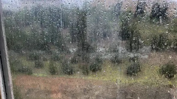 فال ابجد محشر 16 اردیبهشت + فیلم