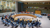 نشست شورای امنیت در مورد سوریه