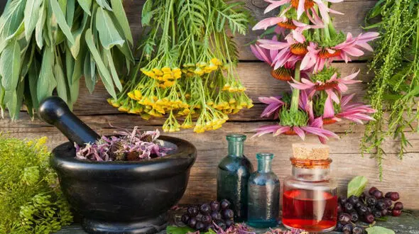 درباره خواص و فواید روغن ها و گیاهان دارویی چه میدانید ؟