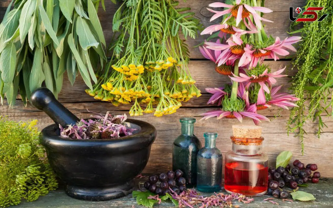 درباره خواص و فواید روغن ها و گیاهان دارویی چه میدانید ؟