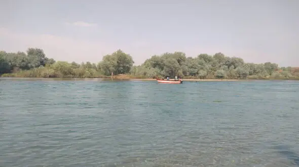 شیرجه زن 56 ساله برای نجات 5 کودک هرمزگانی 
