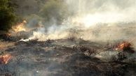 سومین بلا بعد از زلزله و ریزش کوه در گچساران / این بار آتش می سوزاند+ عکس