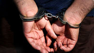 دستگیری ۱۹ سارق حرفه‌ای در بجنورد