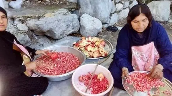 دومین جشنواره برداشت انار شیوند در شمال خوزستان