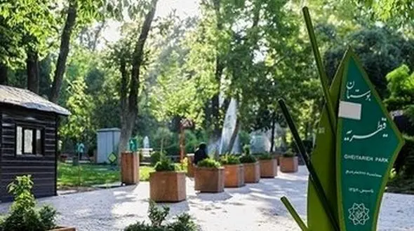 درختان پارک قیطریه را قطع می کنند که در آن مغازه و مسجد بسازند