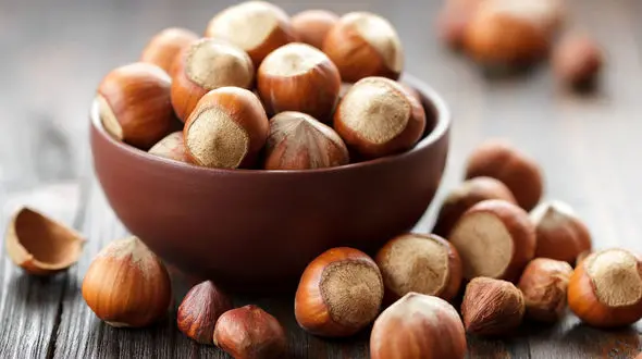 سلامت قلب و روده با خوردن فندق + اینفوگرافی