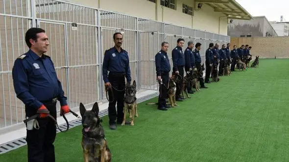 افتتاح اولین مرکز آموزش سگ های مواد یاب تحت نظارت گمرک در ایران + عکس