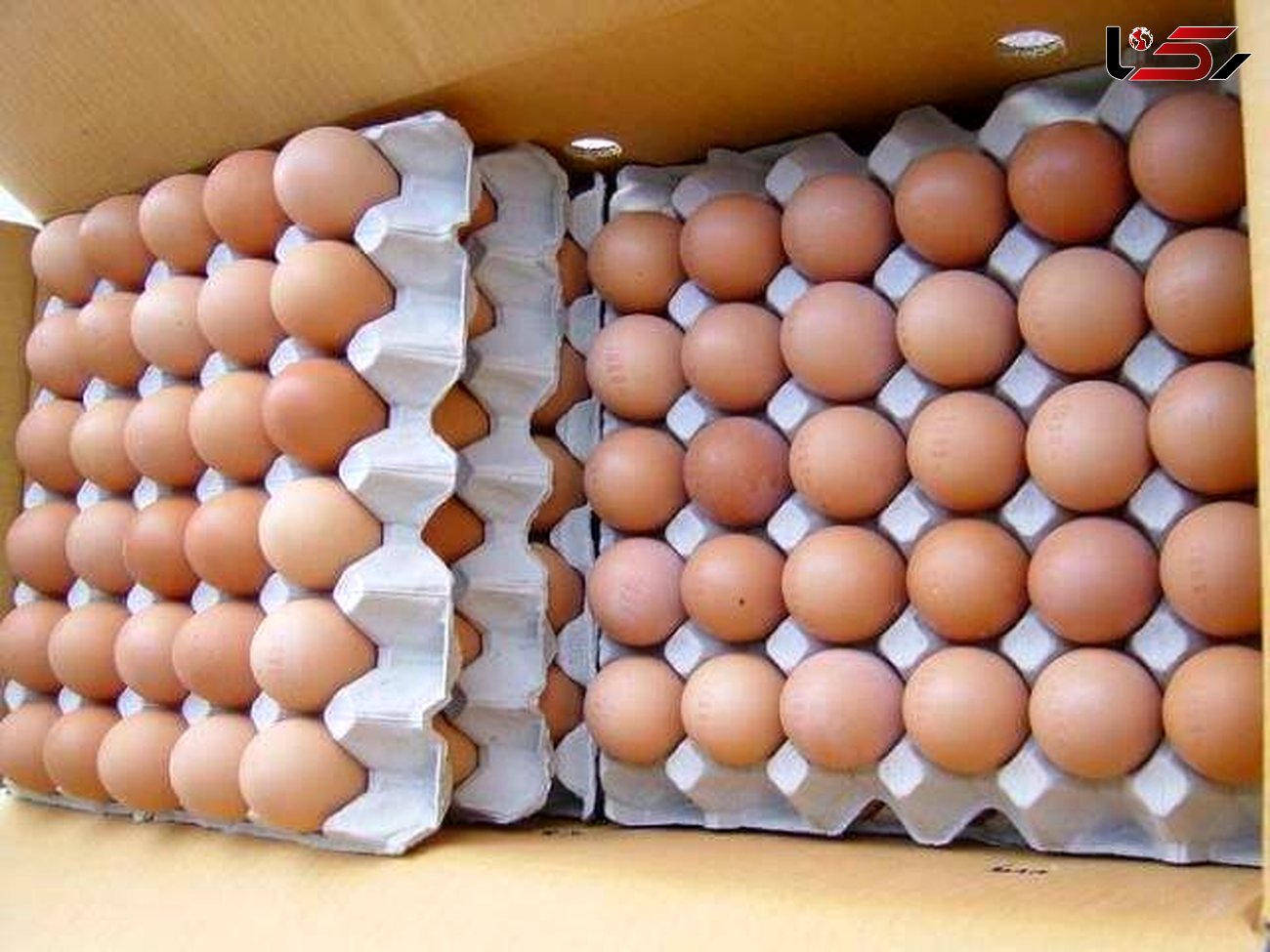 تخم مرغ‌های قهوه‌ای بسته بندی نشده خطرناکند
