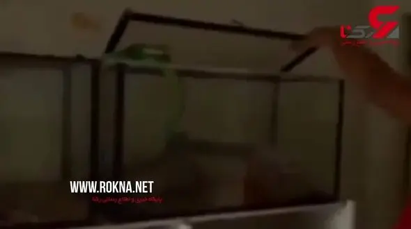 سمی ترین مرد دنیا کیست! + فیلم