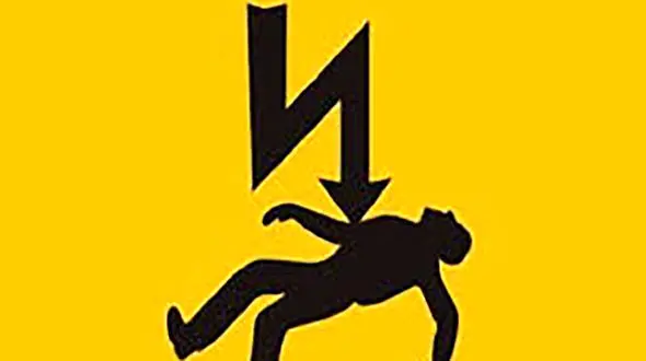 برق سارق حرفه ای را گرفت