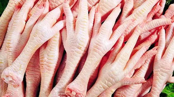  ویتامین ها و مواد معدنی نهفته در پای مرغ سلامت بدن را تضمین می کند