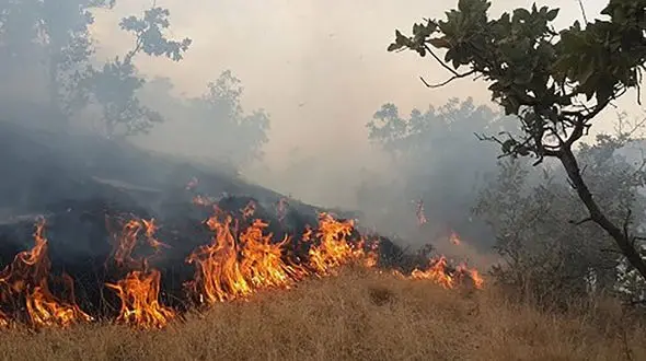 اعدام در انتظار عاملان به آتش کشیدن اراضی ایران