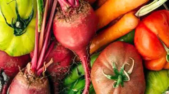 کدام خوراکی ها در پاییز از بدن محافظت می کنند؟!