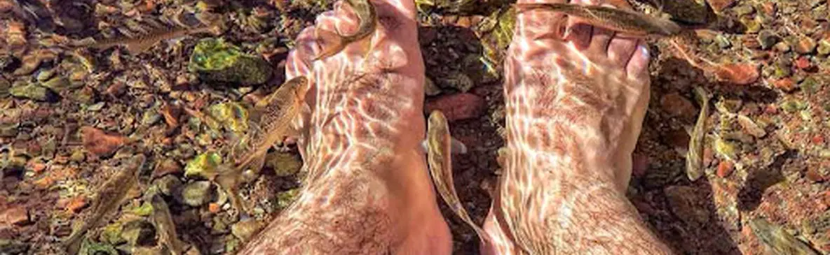 آبگرم کویری؛ خانه‌ی دکتر فیش در گرمه + فیلم