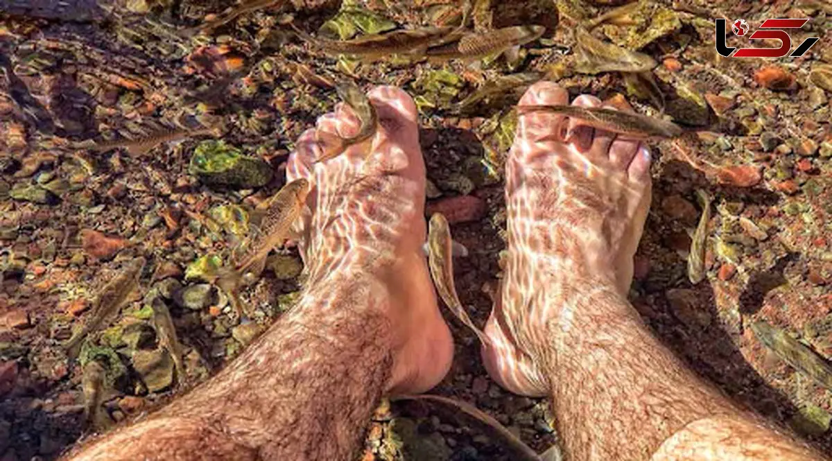 آبگرم کویری؛ خانه‌ی دکتر فیش در گرمه + فیلم