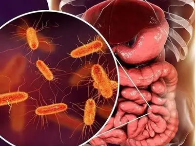 چگونه یک ماده مغذی می‌ تواند روده‌ های شما را در برابر دیابت محافظت کند؟