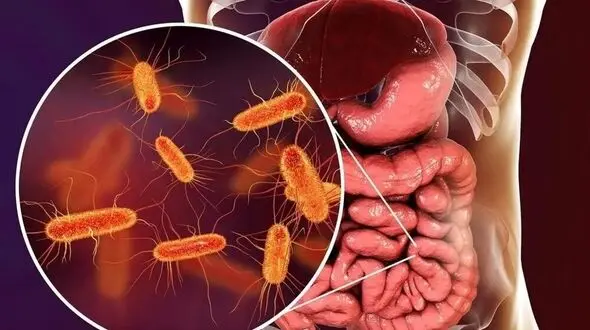 چگونه یک ماده مغذی می‌ تواند روده‌ های شما را در برابر دیابت محافظت کند؟