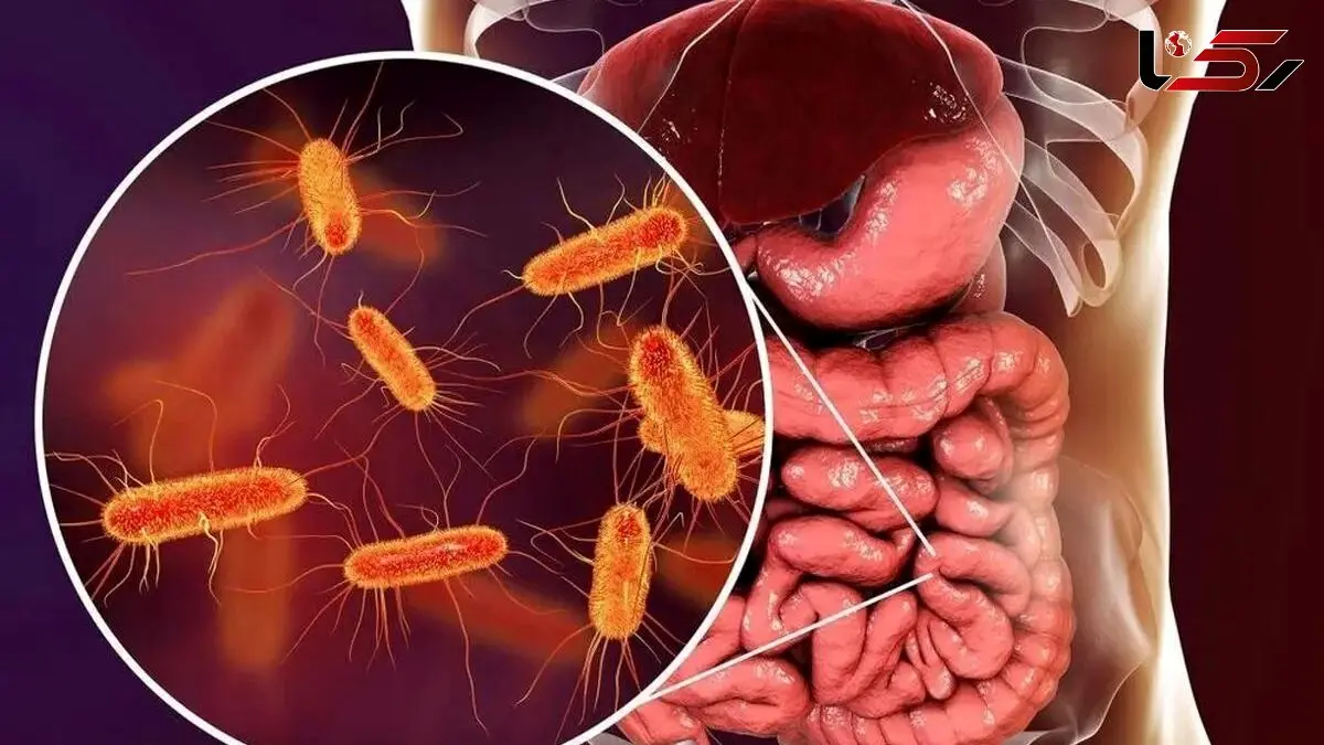 چگونه یک ماده مغذی می‌ تواند روده‌ های شما را در برابر دیابت محافظت کند؟