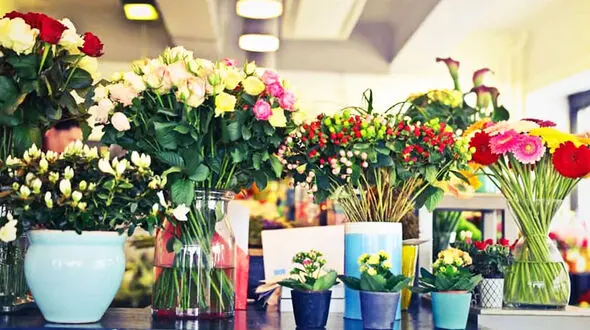 روز ملی گل در سایه کاهش 30 درصدی خرید / گل‌ فروشان همچنان به رونق بازار امیدوارند