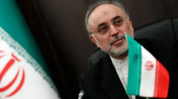 رئیس کمیسیون فرهنگی مجلس: برنامه های صالحی قابل قبول است