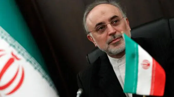 رئیس کمیسیون فرهنگی مجلس: برنامه های صالحی قابل قبول است
