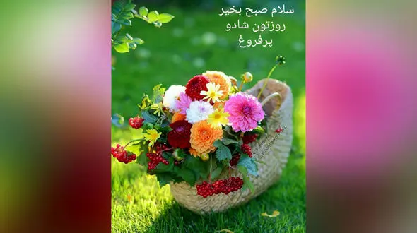 فال و طالع بینی امروز 3 شهریور 