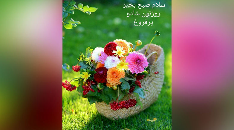 فال و طالع بینی روزانه 3 مرداد