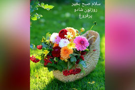 فال و طالع بینی امروز 3 شهریور 