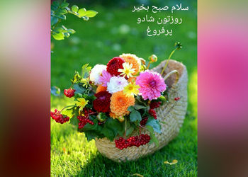 فال و طالع بینی روزانه 3 مرداد