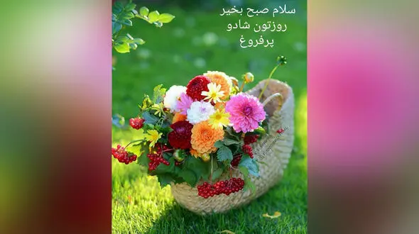 فال روزانه 13 مرداد 