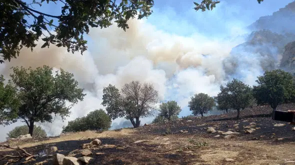 فیلم آتش سوزی تاسفبار در  ارتفاعات مشجر بلاله در گیلانغرب !