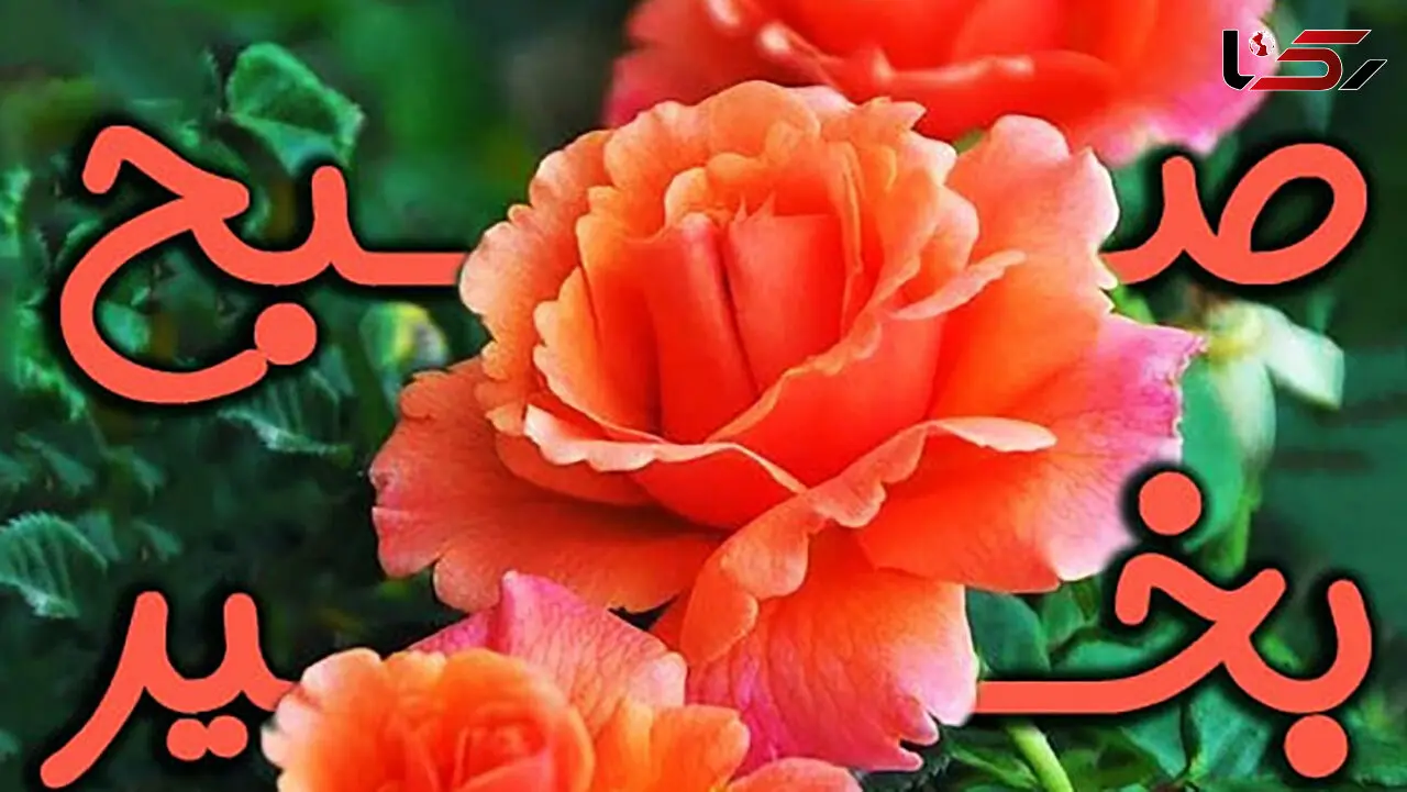جملات سلام صبح بخیر برای ارسال + فیلم