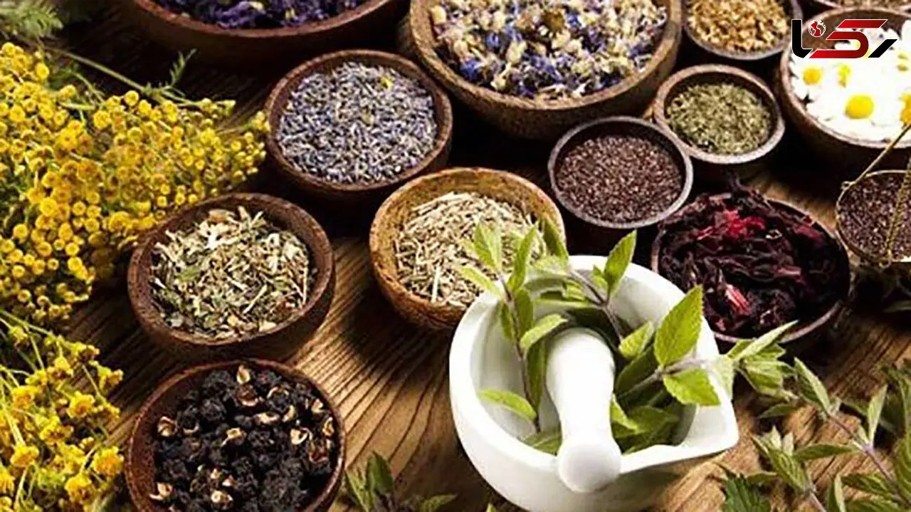 با این گیاهان به جنگ اضطراب بروید
