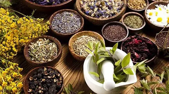 با این گیاهان به جنگ اضطراب بروید