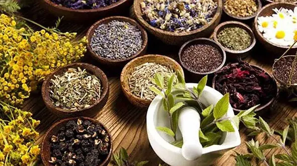 با این گیاهان به جنگ اضطراب بروید