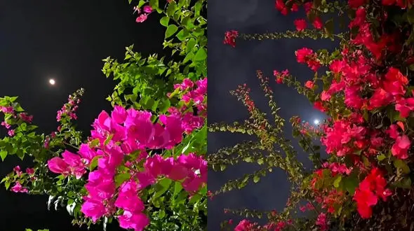 فال ابجد امروز 3 اردیبهشت 1405