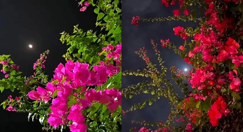 فال و طالع بینی امروز 28 خرداد 1405