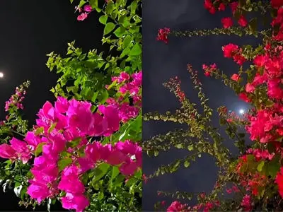 فال و طالع بینی امروز 12 اردیبهشت 1405