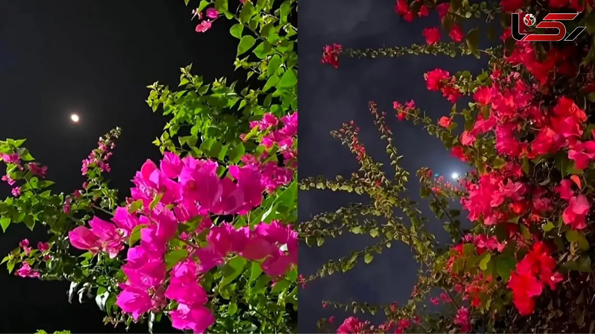 فال ابجد امروز 3 اردیبهشت 1405