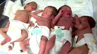 عکس 4 قلوهای تازه متولد شده در گلستان / این زن جوان مادر 6 بچه شد