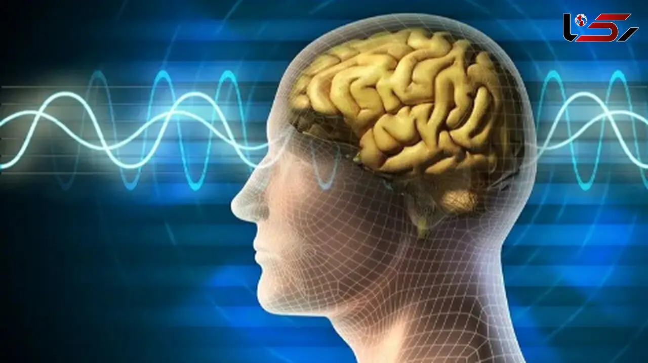 معجزه‌ ای برای مغز: این ترکیب غذایی را همین امروز امتحان کنید