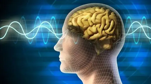 معجزه‌ ای برای مغز: این ترکیب غذایی را همین امروز امتحان کنید