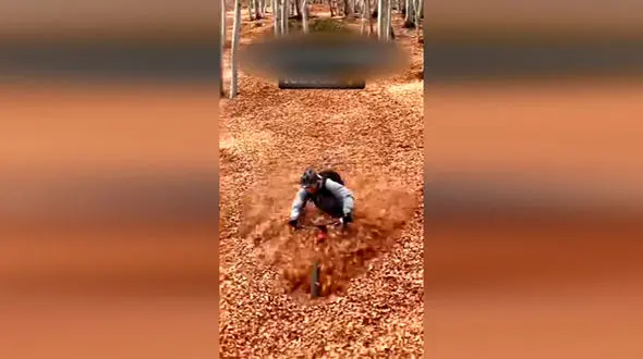 دوچرخه سواری که برگ ها را له کرد + فیلم