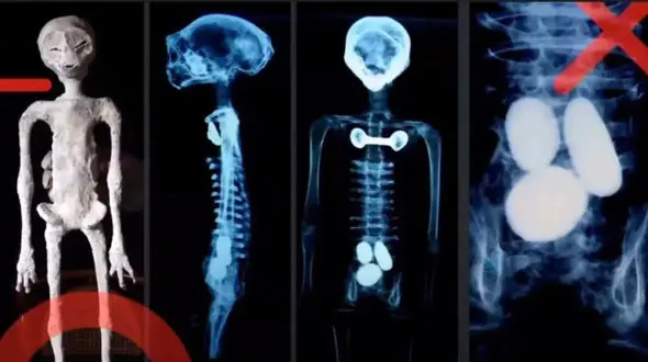  رونمایی از جسد فسیل شده آدم‌فضایی‌ها در پارلمان مکزیک؟! + فیلم و عکس