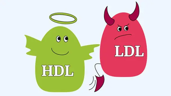 کلسترول خوب همیشه هم خوب نیست!