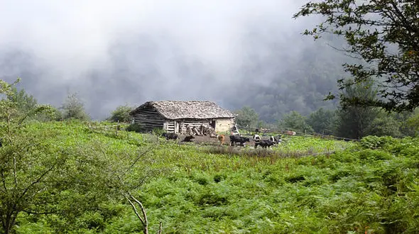 آشنایی با روستاهای لاهیجان / فیلم