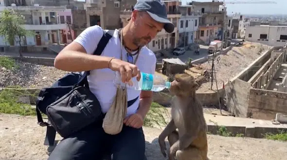 مهربانی انسان ها با حیوانات + فیلم